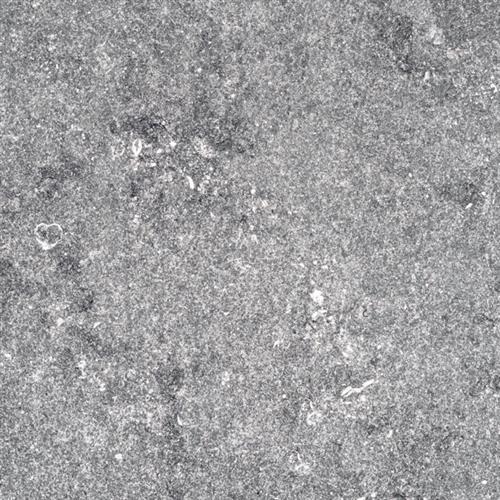 Gray Flamed