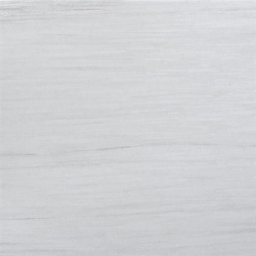 Latitude Gray - 12X24