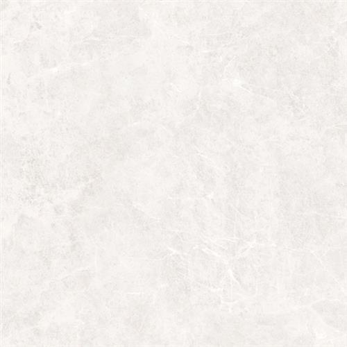 White - 13x23