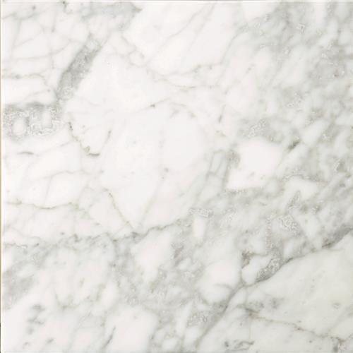 Marble by Emser Tile - Bianco Gioia (Honed