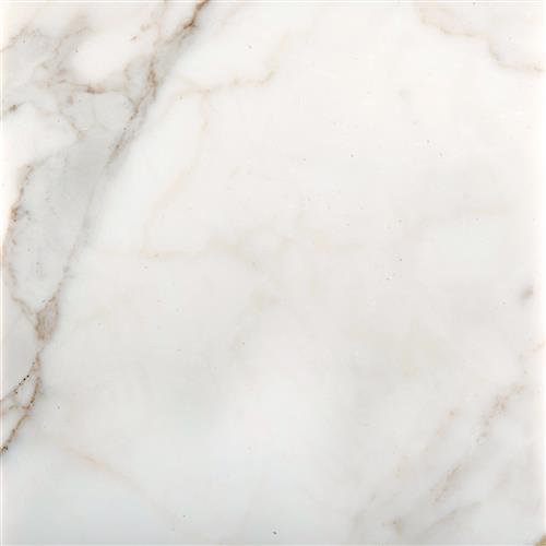 Marble by Emser Tile - Calacata Oro