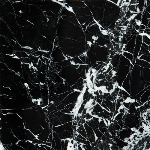 Marble by Emser Tile - Black & White