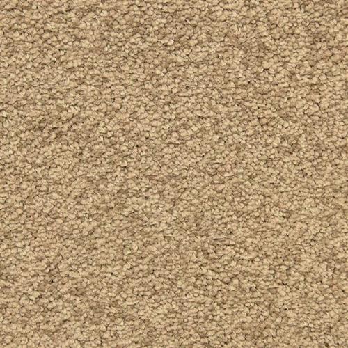 Masland Carpets Vero Beach Bungalow Carpet Marmora & Ocean City, NJ