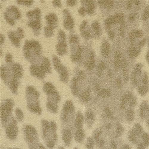 Leopard Snow Leopard 127