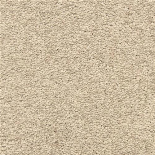 Masland Carpet Complaints