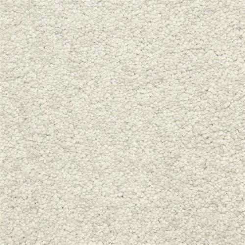 Masland Carpet Complaints