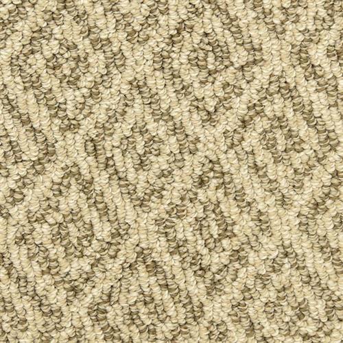 Marquis by Masland Carpets