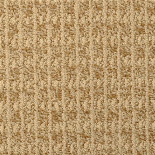 Hudson Valley by Masland Carpets - Briarcliff Manor