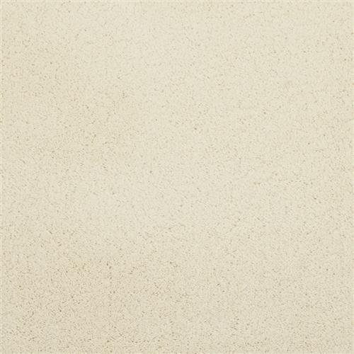 Posh in Lace - Carpet by Masland Carpets