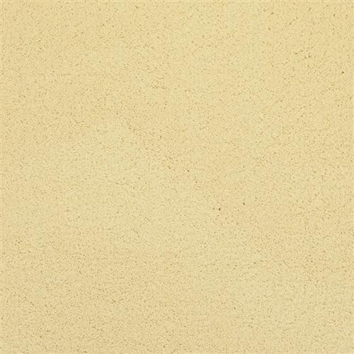 Posh in Sparkle - Carpet by Masland Carpets