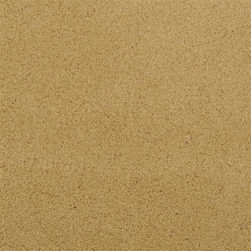 Posh in Venetian - Carpet by Masland Carpets