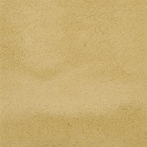 Posh in Golden - Carpet by Masland Carpets