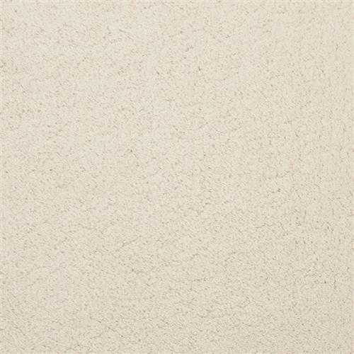 Posh in Pearl - Carpet by Masland Carpets