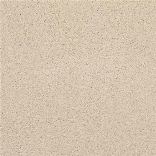 Posh in Fashionable - Carpet by Masland Carpets