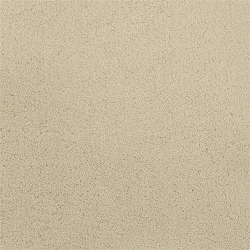 Posh in Champagne - Carpet by Masland Carpets