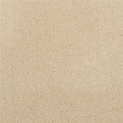 Posh in Cameo - Carpet by Masland Carpets