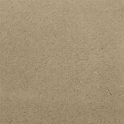 Posh in Opulent - Carpet by Masland Carpets