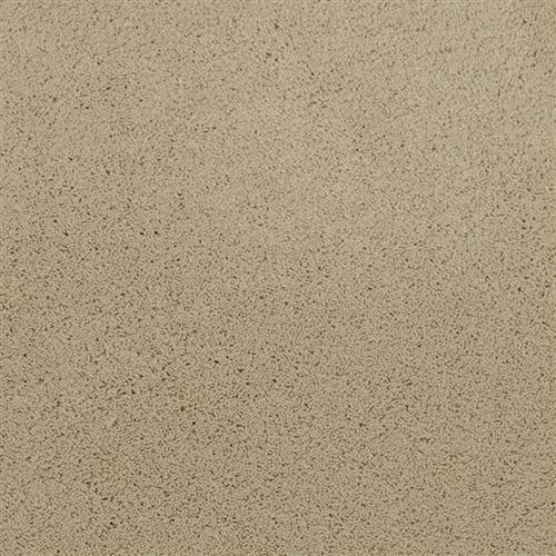 Posh in Taj Mahal - Carpet by Masland Carpets