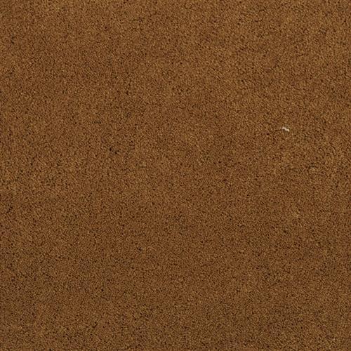 Posh in Rodeo - Carpet by Masland Carpets