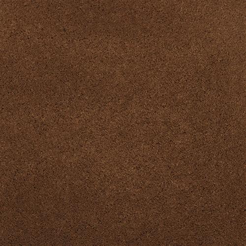 Posh in Chalet - Carpet by Masland Carpets