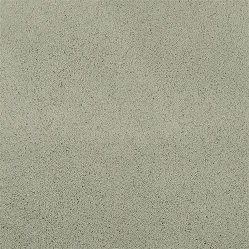 Posh in Trendy - Carpet by Masland Carpets