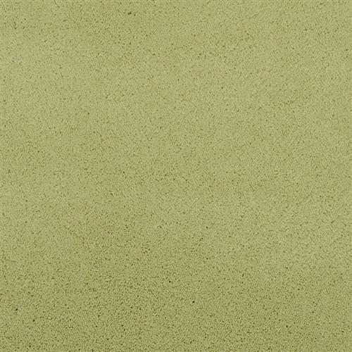 Posh in Stylish - Carpet by Masland Carpets