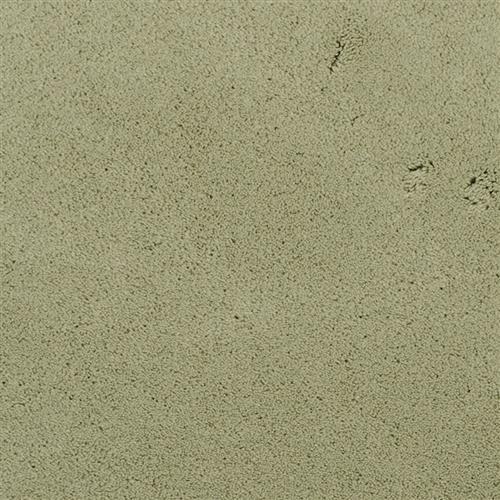 Posh in Odyssey - Carpet by Masland Carpets