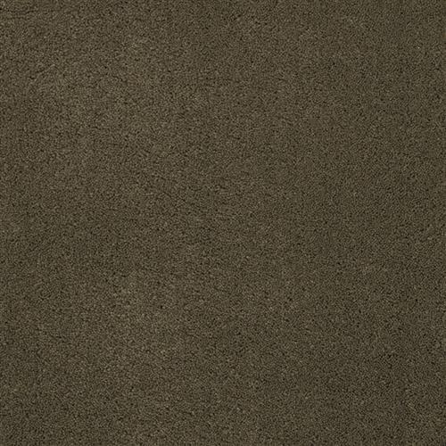Posh in Tapestry - Carpet by Masland Carpets