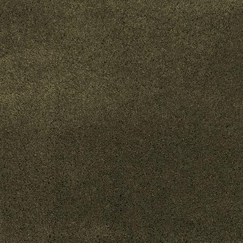 Posh in Aspen - Carpet by Masland Carpets