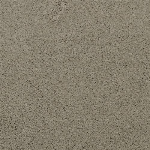 Posh in Splendor - Carpet by Masland Carpets