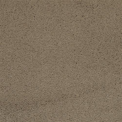 Posh in Cashmere - Carpet by Masland Carpets
