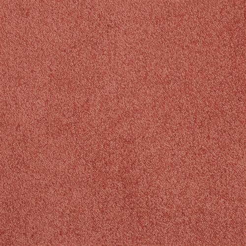 Americana in Graffiti - Carpet by Masland Carpets