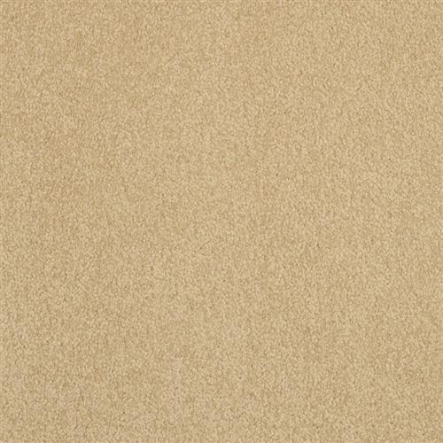Americana in Cliffrose - Carpet by Masland Carpets