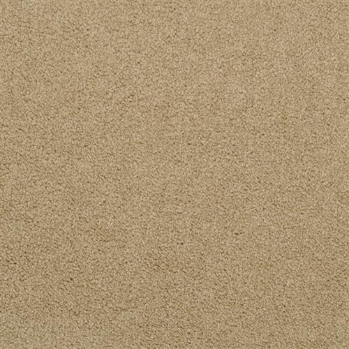 Americana in Coyote - Carpet by Masland Carpets