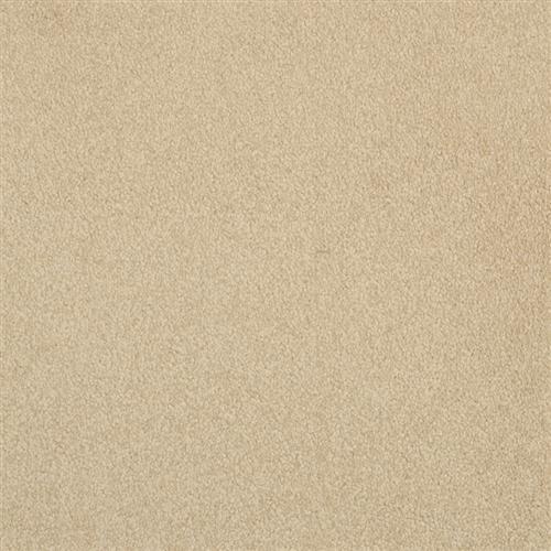 Americana in Butte - Carpet by Masland Carpets