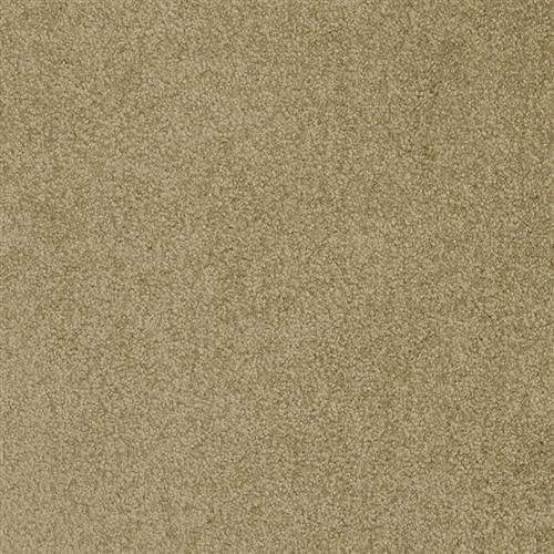Americana in Mt. St. Helens - Carpet by Masland Carpets