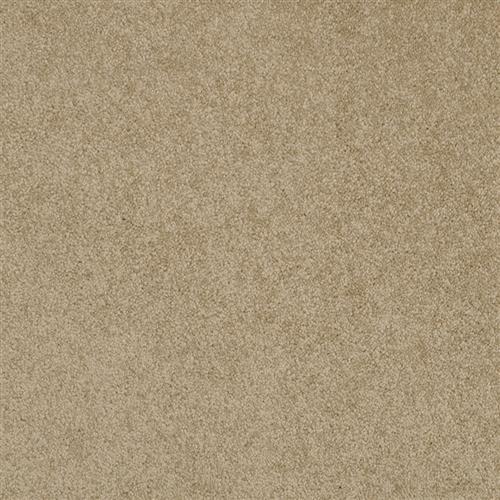 Americana in River Rock - Carpet by Masland Carpets