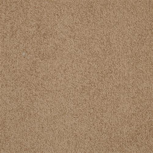 Americana in Bighorn - Carpet by Masland Carpets