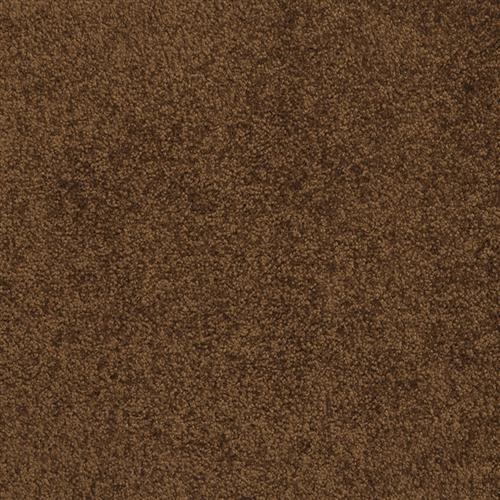 Americana in Burro - Carpet by Masland Carpets