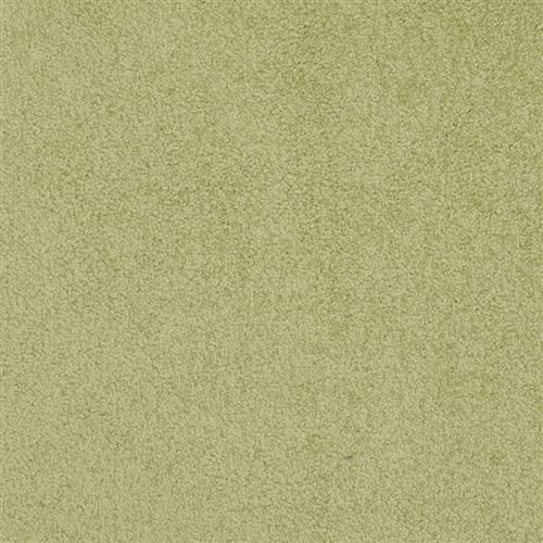 Americana in Park - Carpet by Masland Carpets