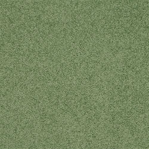 Americana in Garden - Carpet by Masland Carpets
