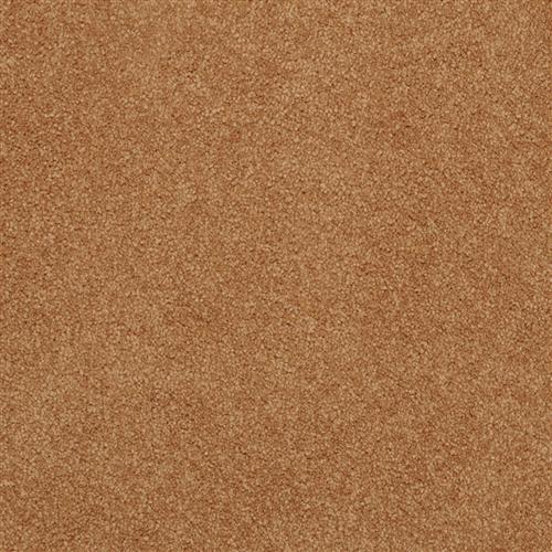 Americana in Canyon - Carpet by Masland Carpets