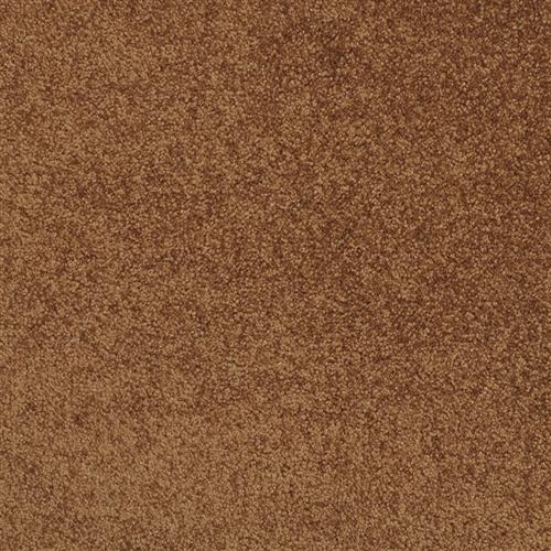 Americana in Coati - Carpet by Masland Carpets