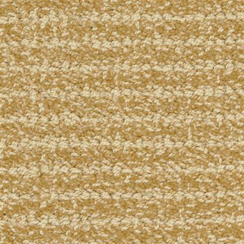 Carpet S Des Moines Ia Carpet Vidalondon