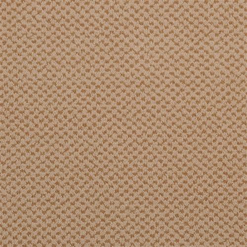 Seurat by Masland Carpets & Rugs - Apricot
