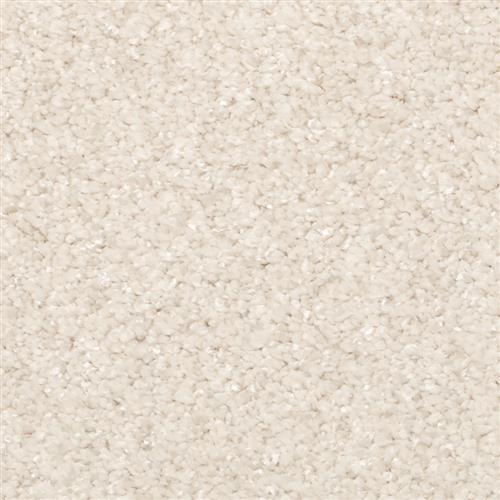 Opalesque by Masland Carpets - Moccasin