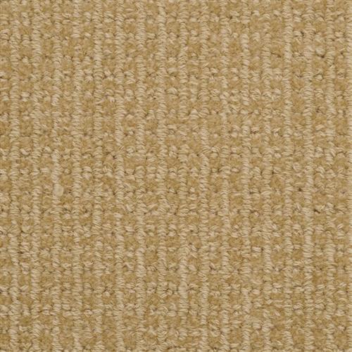 Masland Wool Carpet Warranty Review Home Co