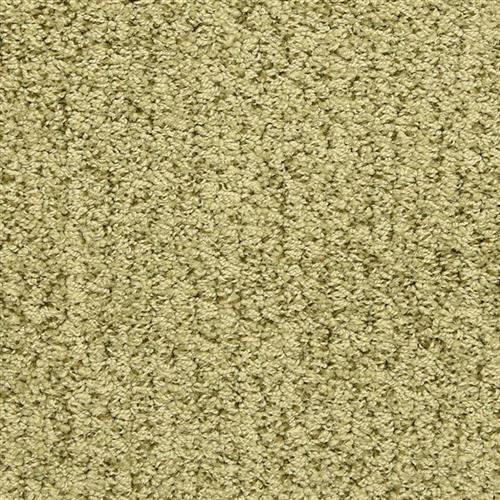 Masland Carpets Sea Grass Palm Tree Carpet Maple Grove, Minnesota