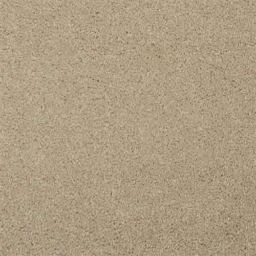 Softly Stated Sandy Taupe 208