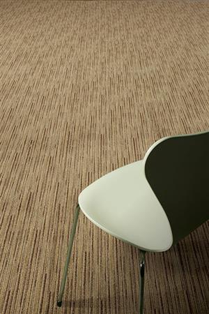 Galvanize in Invigorate - Carpet by Masland Carpets